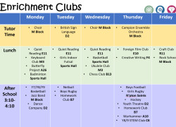 Enrichment Clubs from January 2025